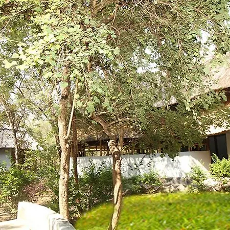 Mikumi Adventure Lodge Morogoro Exterior photo