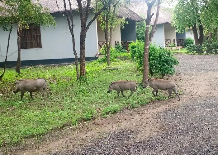 Mikumi Adventure Lodge